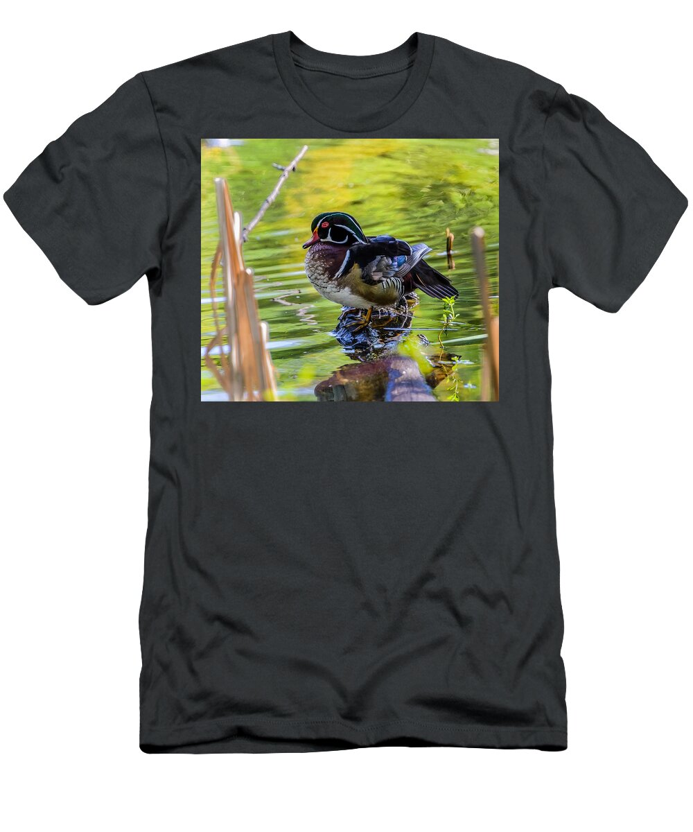 Wood Duck T-Shirt featuring the photograph Wood Duck by Jerry Cahill