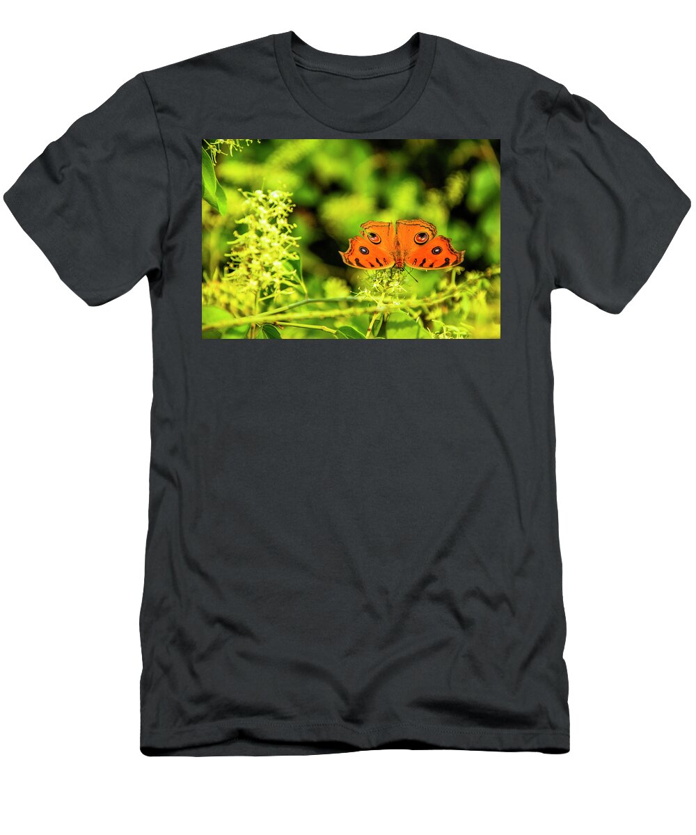 Spring T-Shirt featuring the photograph Butterfly and flower closeup #20 by Carl Ning