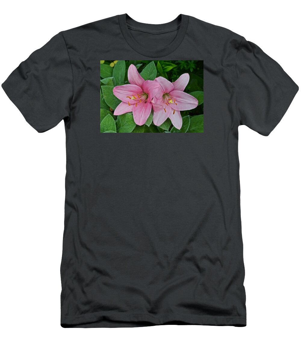 Asiatic Lilies T-Shirt featuring the photograph 2015 Summer at the Garden Pink Lilies 1 by Janis Senungetuk