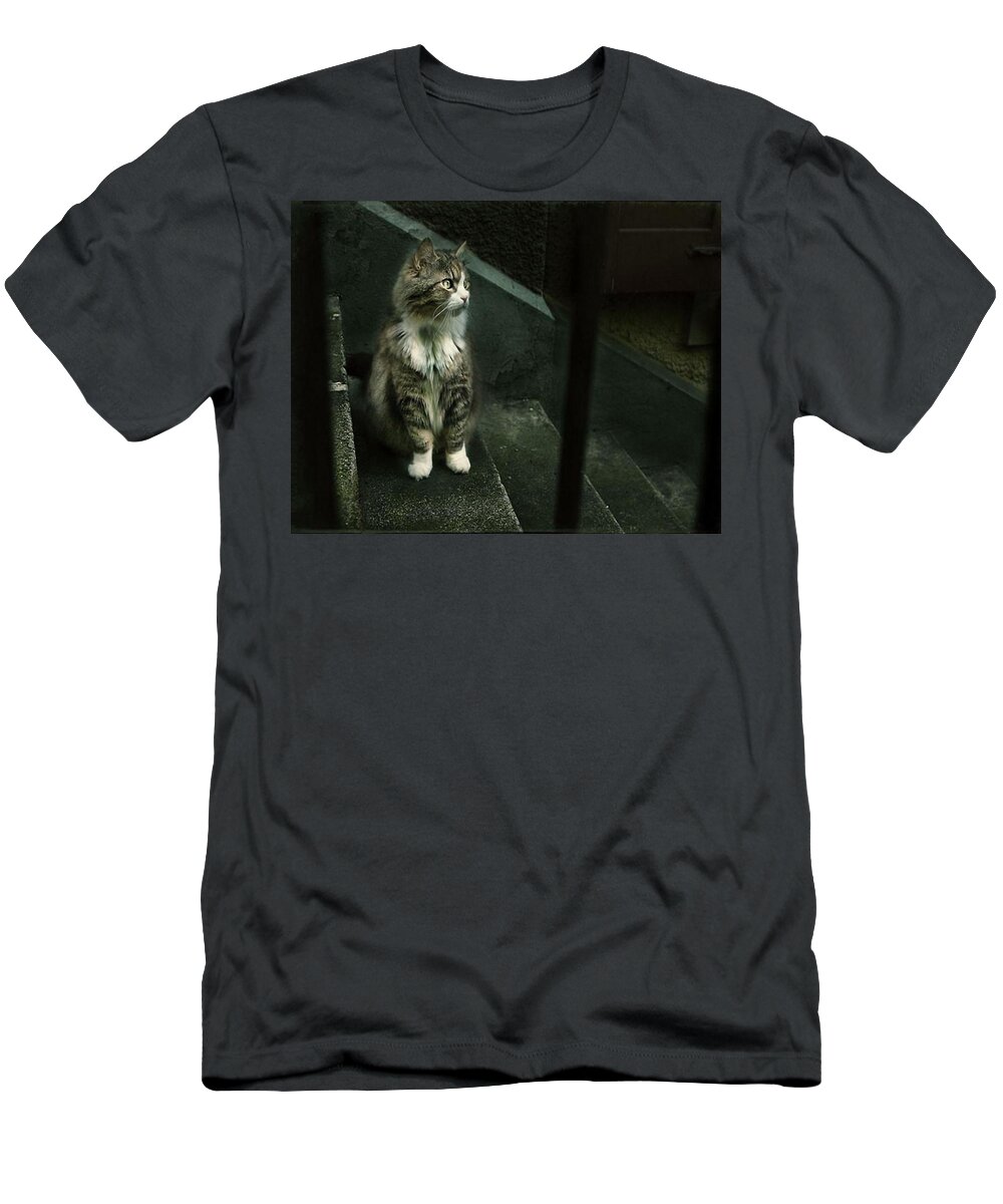 Cat T-Shirt featuring the photograph Cat #207 by Jackie Russo