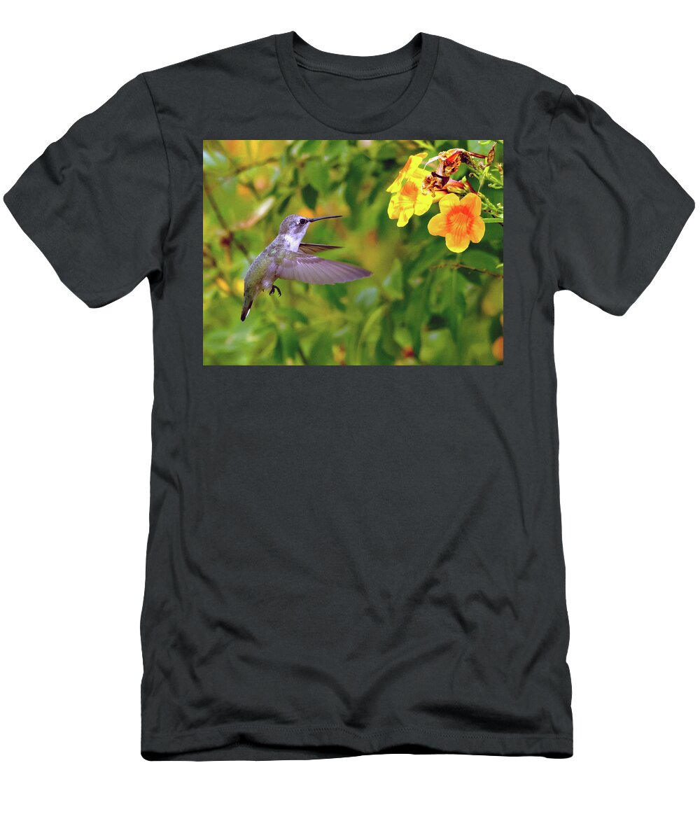 Hummingbird T-Shirt featuring the photograph Hummingbird #21 by Tam Ryan