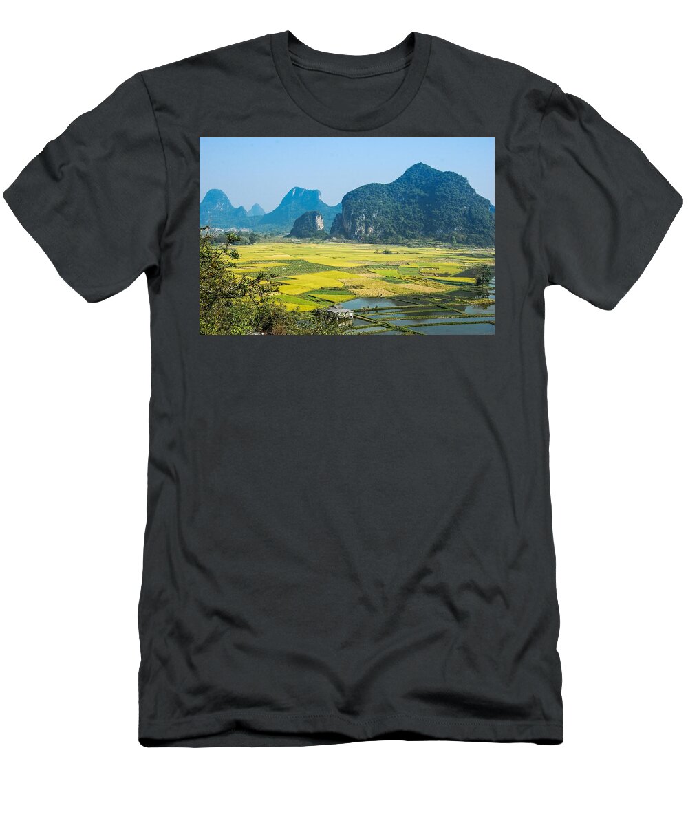 Rice T-Shirt featuring the photograph Rice fields scenery in autumn #24 by Carl Ning
