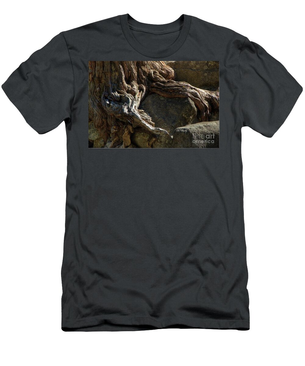 Yosemite T-Shirt featuring the photograph Yosemite #25 by Marc Bittan