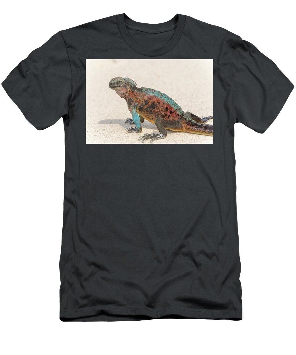 Marine Iguana T-Shirt featuring the photograph Marine Iguana on Galapagos Islands #27 by Marek Poplawski