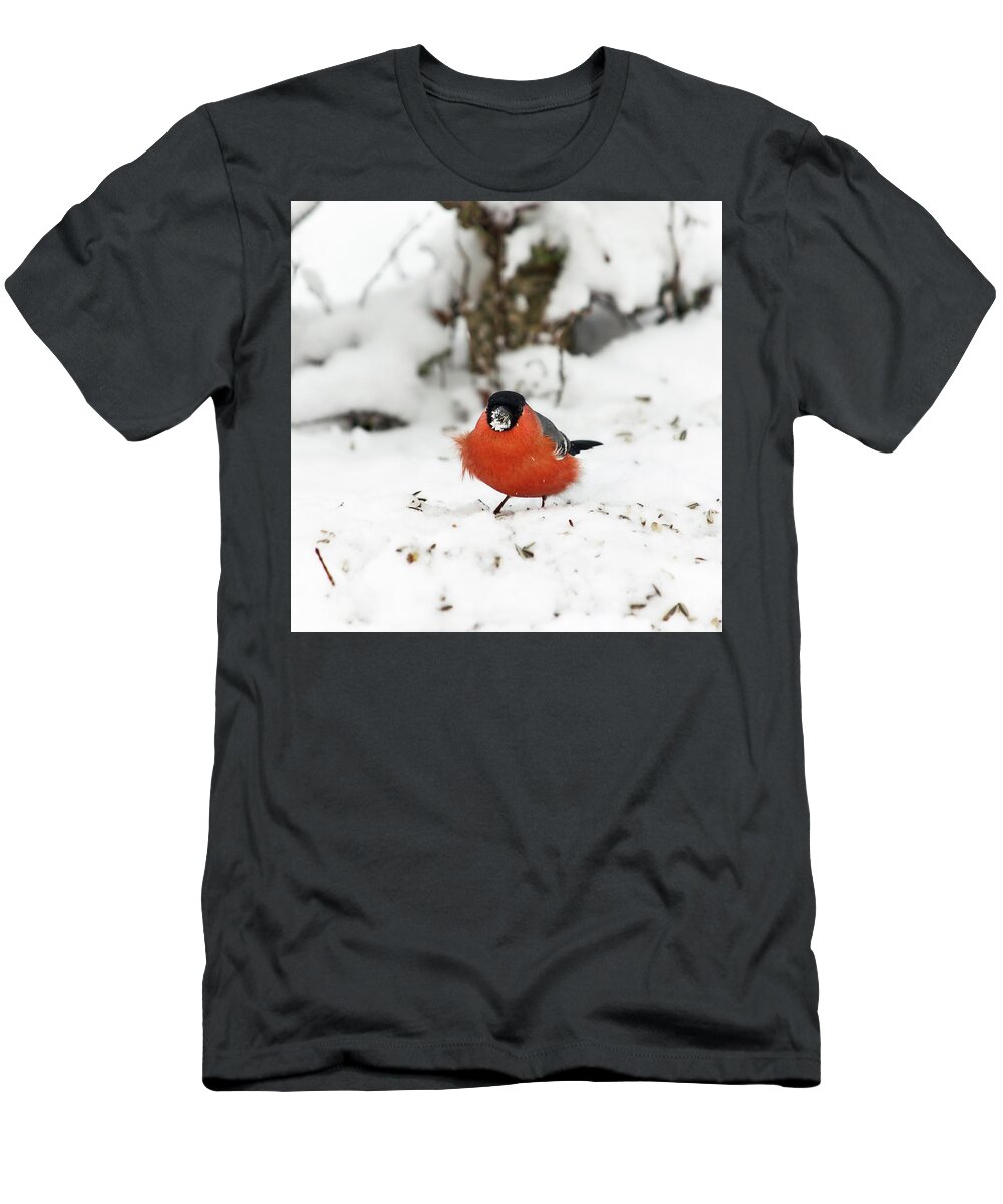 Finland T-Shirt featuring the photograph Eurasian bullfinch #3 by Jouko Lehto