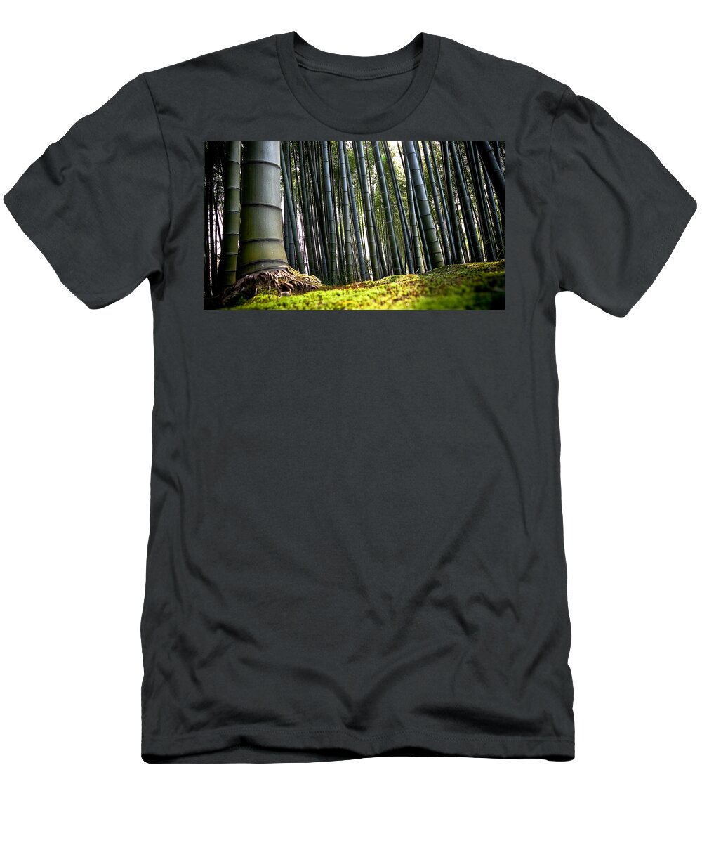 Forest T-Shirt featuring the photograph Forest #3 by Jackie Russo