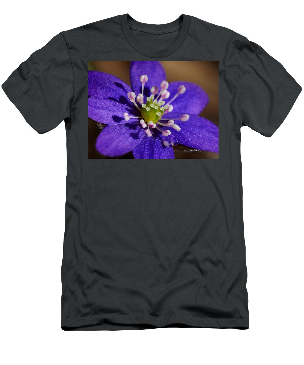 Anemone Hepatica T-Shirt featuring the photograph Hepatica #3 by Jouko Lehto
