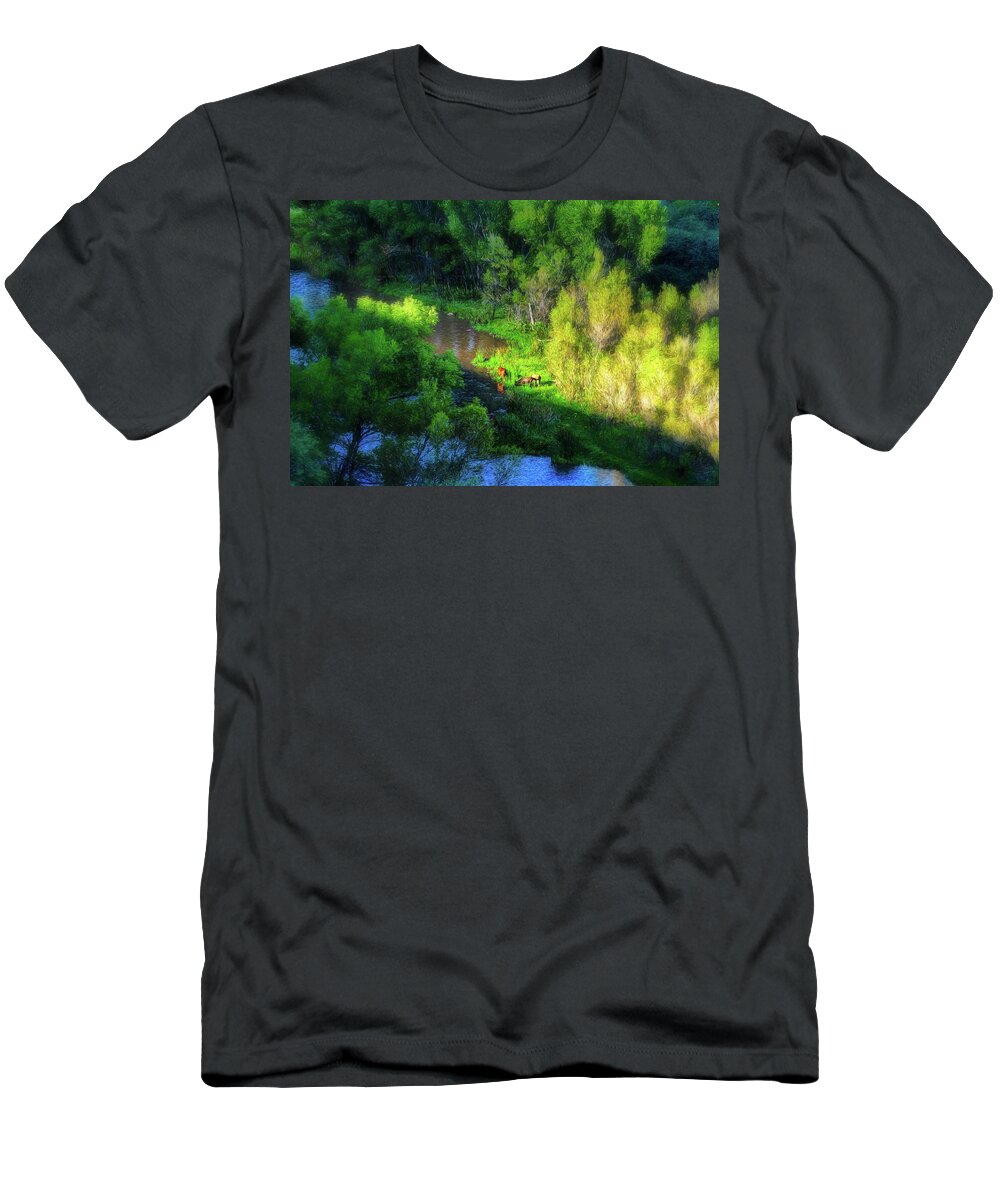 Animals T-Shirt featuring the photograph 3 Horses grazing on the bank of the Verde River by Robert FERD Frank