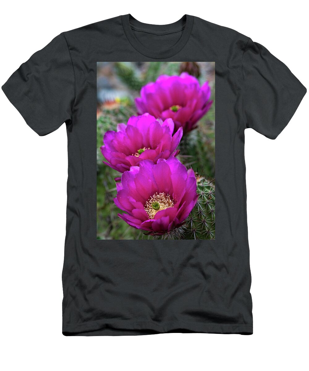 Strawberry Hedgehog Cactus T-Shirt featuring the photograph Pink Hedgehog Cactus #4 by Saija Lehtonen