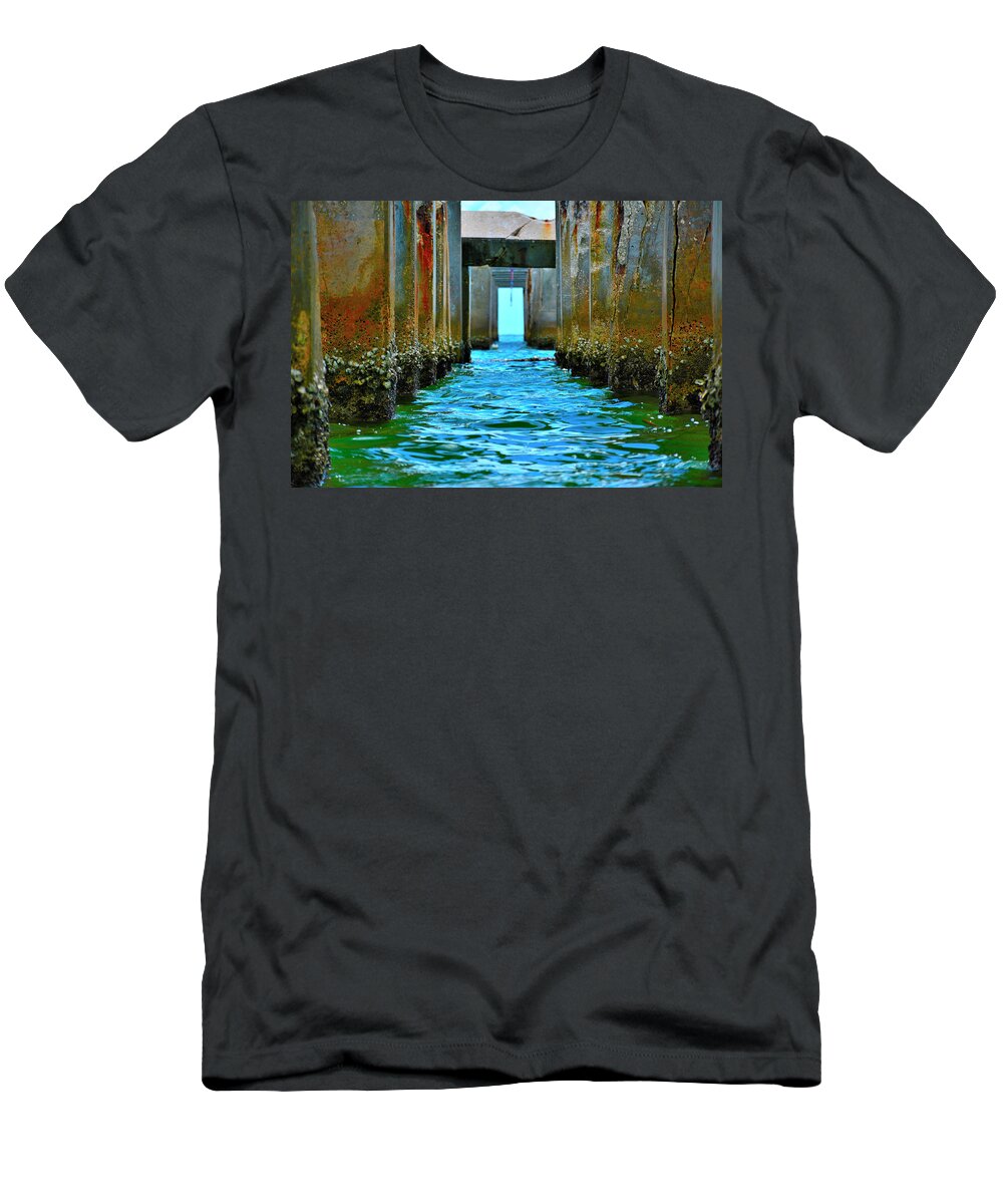 Water T-Shirt featuring the photograph Unknown #4 by Alison Belsan Horton