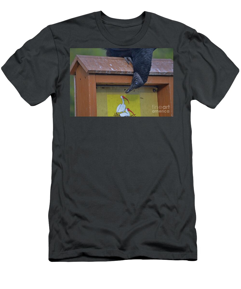 Black Vulture T-Shirt featuring the photograph 32- Vulture In Love by Joseph Keane