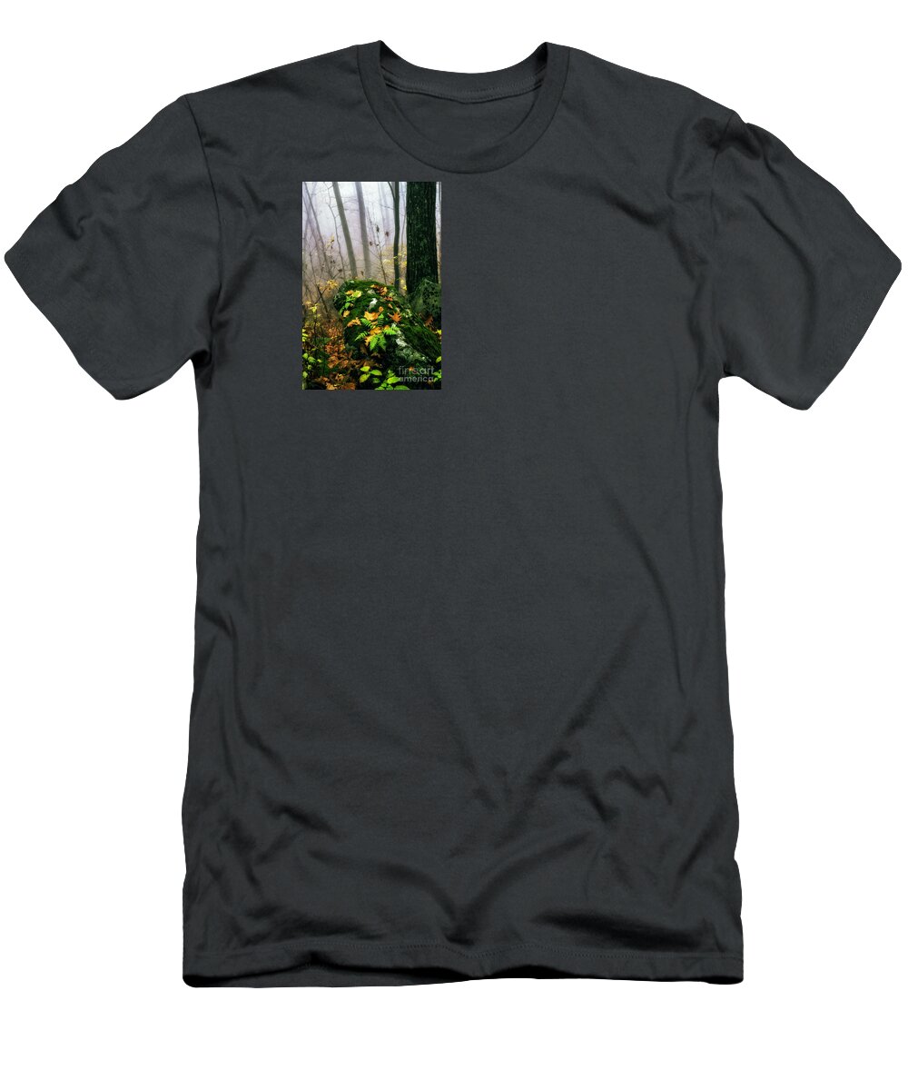 Autumn T-Shirt featuring the photograph Autumn Monongahela National Forest #2 by Thomas R Fletcher