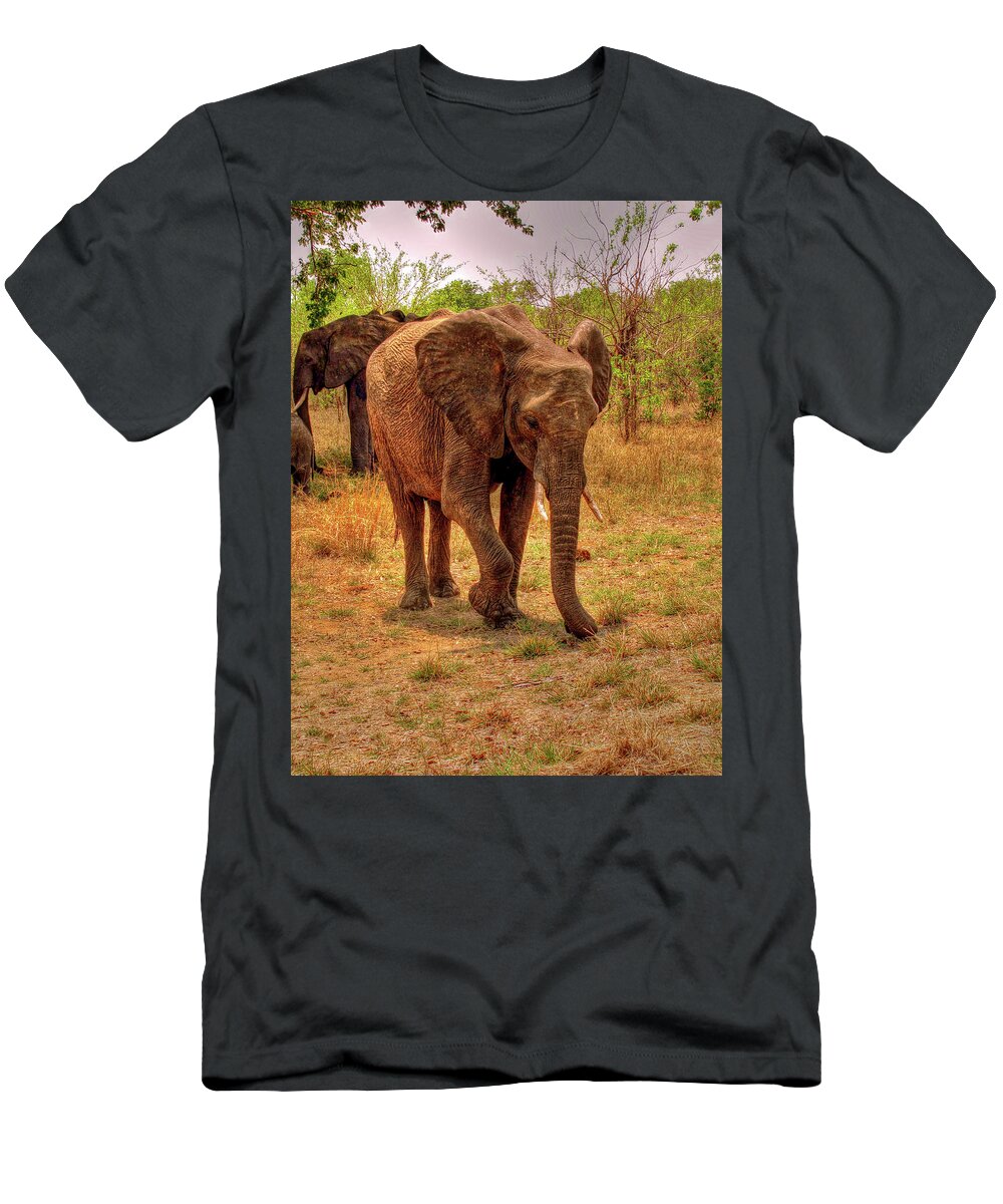 Botswana T-Shirt featuring the photograph Botswana #35 by Paul James Bannerman