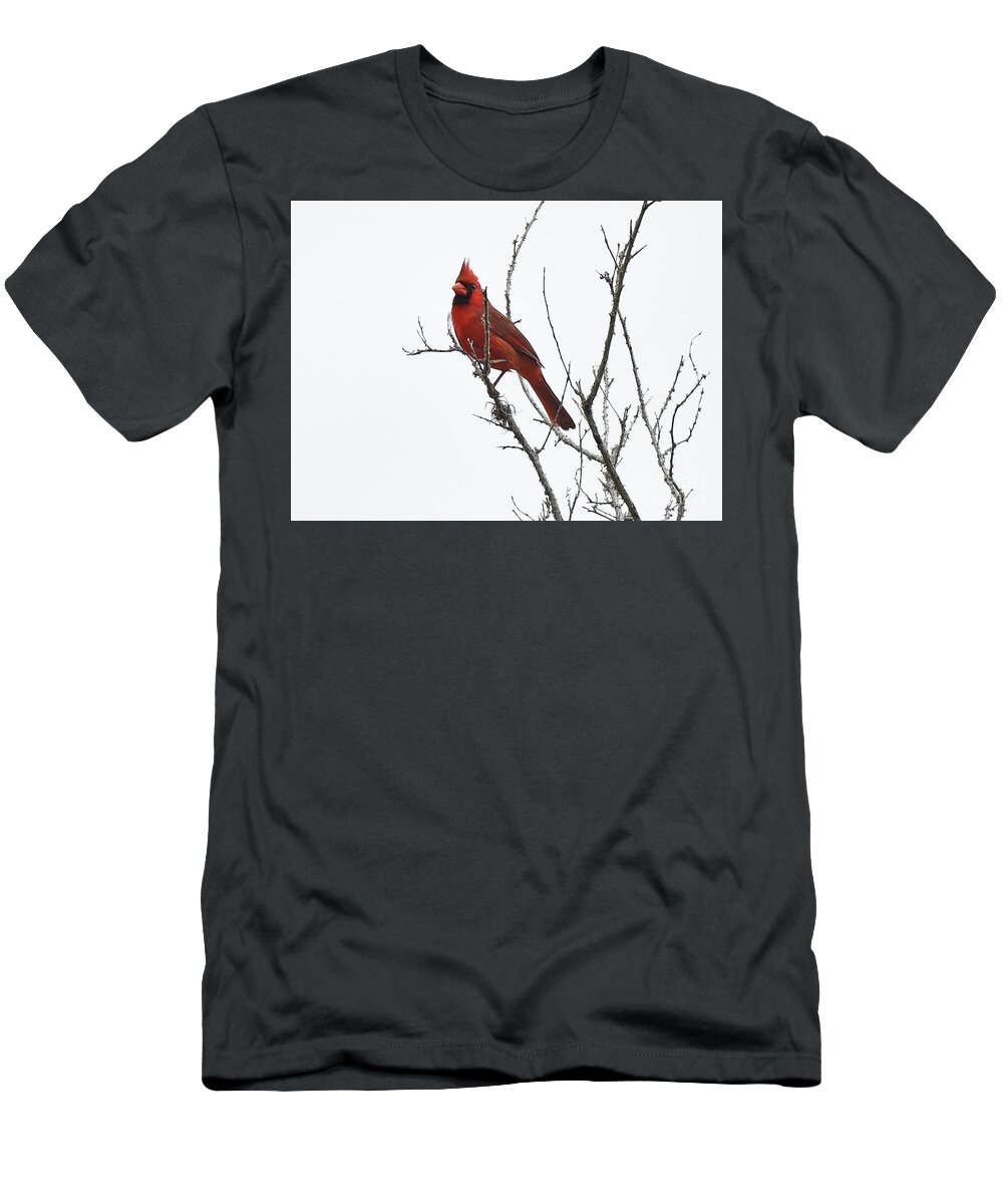  T-Shirt featuring the photograph 3863 by Don Solari