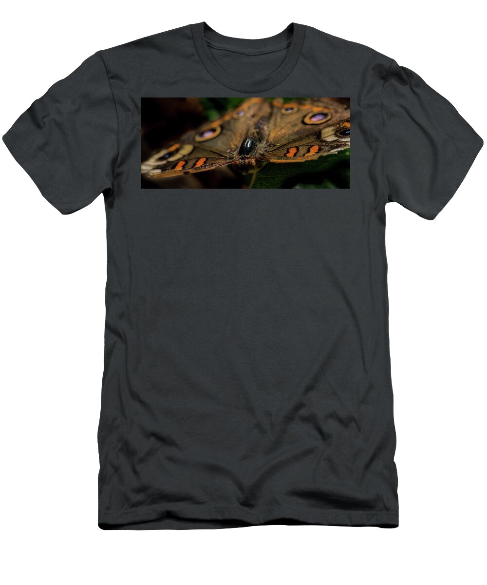 Jay Stockhaus T-Shirt featuring the photograph Butterfly #4 by Jay Stockhaus