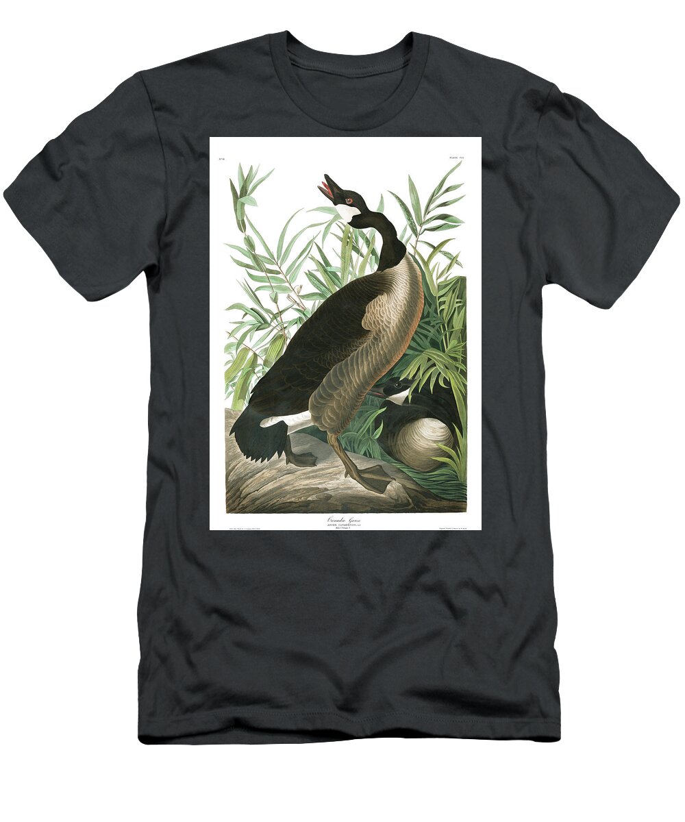 Canada Goose T-Shirt featuring the painting Canada Goose #4 by John James Audubon