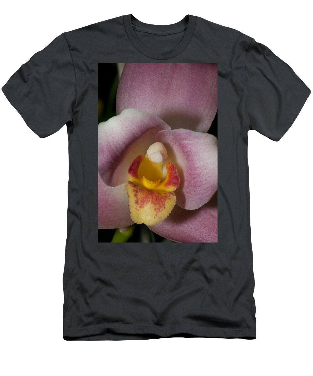 Flowers T-Shirt featuring the digital art Moth Orchids #4 by Carol Ailles