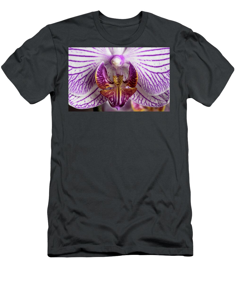 Orchid T-Shirt featuring the photograph Orchid phalaenopsis flower #3 by Michalakis Ppalis