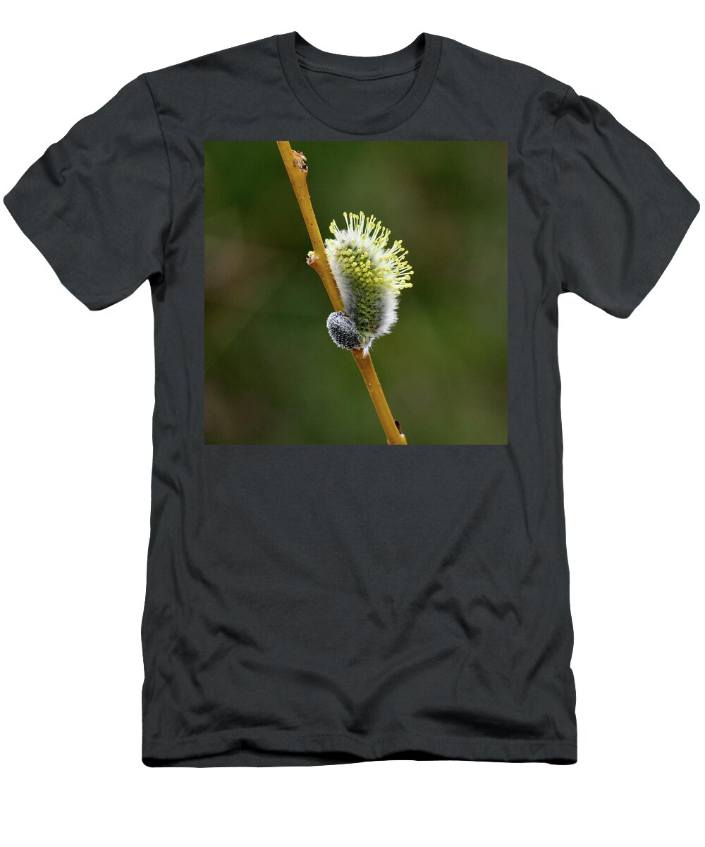 Finland T-Shirt featuring the photograph Willow Catkins #4 by Jouko Lehto