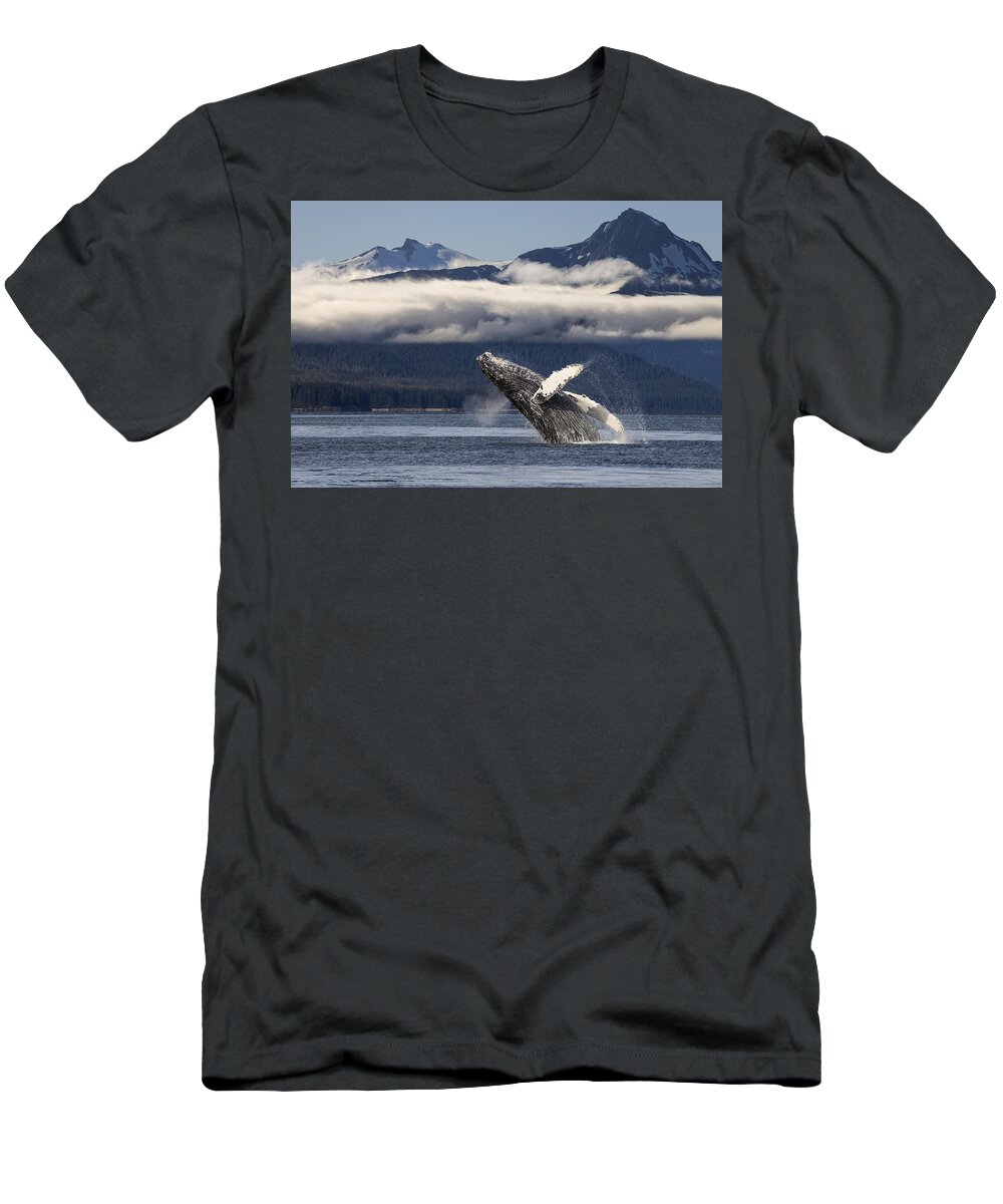 Hyde T-Shirt featuring the photograph A Humpback Whale Breaches As It Leaps #5 by John Hyde