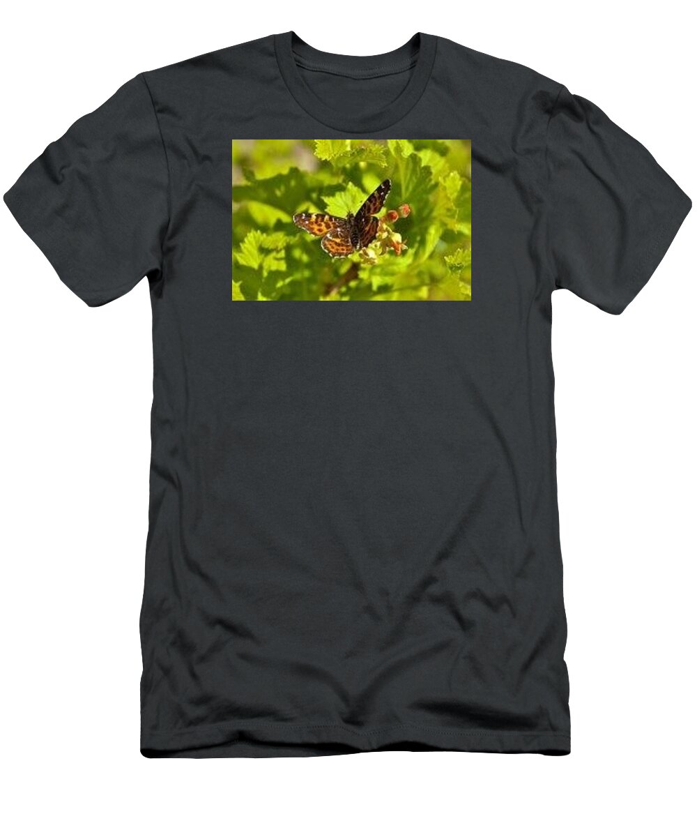 Butterfly T-Shirt featuring the photograph Butterfly #5 by James Knecht