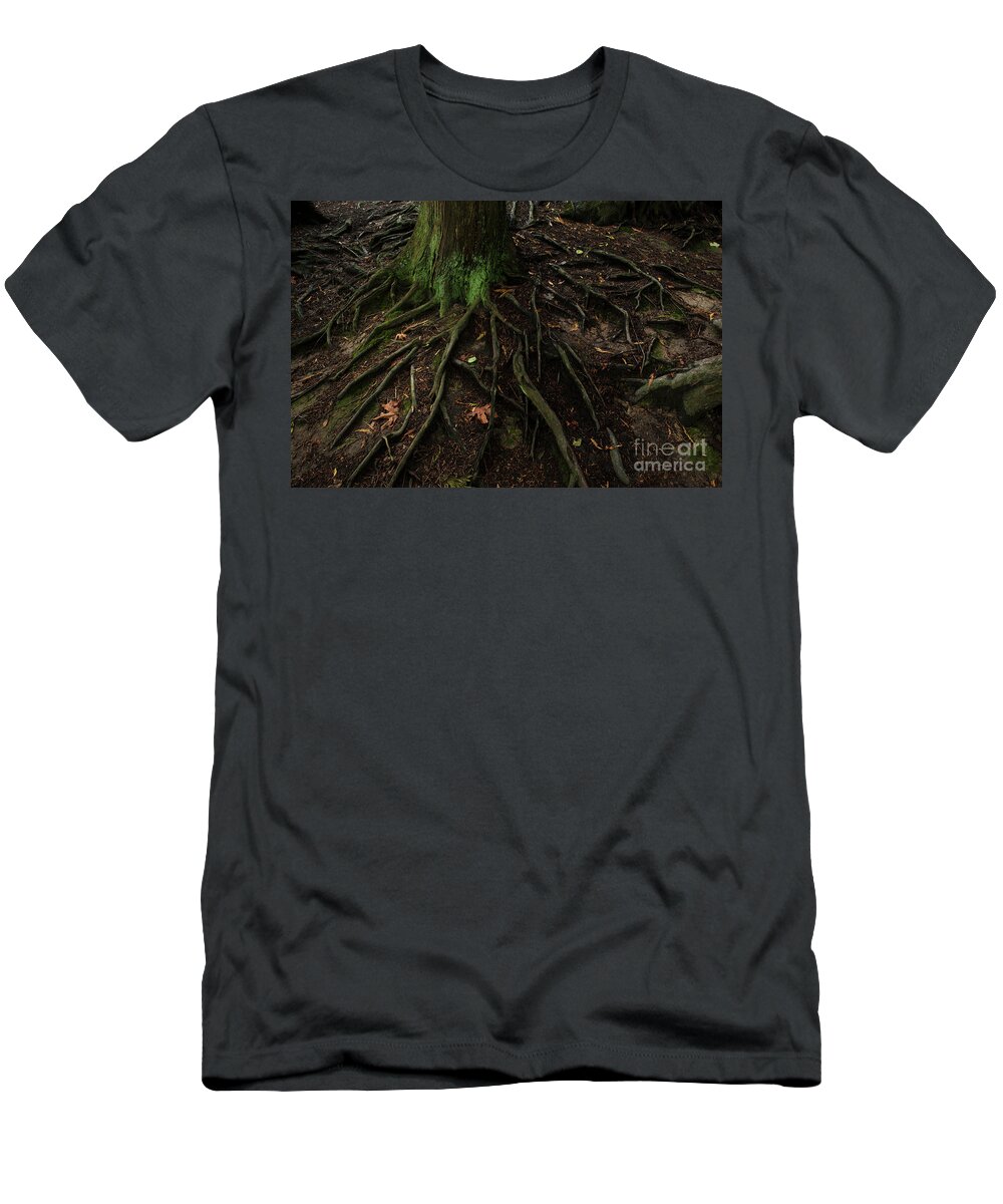Autumn T-Shirt featuring the photograph Forest Setting with Close-ups of Tree Roots #5 by Jim Corwin