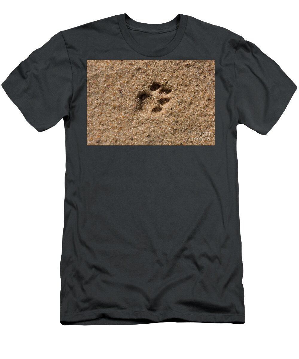 Africa T-Shirt featuring the photograph Leopard Panthera Pardus #5 by Gerard Lacz