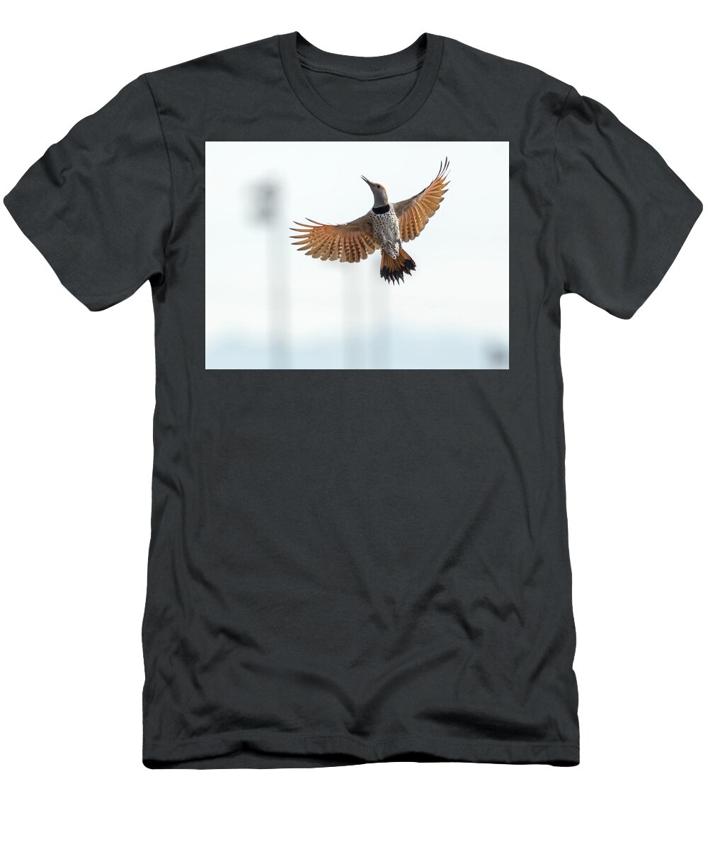Gilded T-Shirt featuring the photograph Gilded Flicker by Tam Ryan