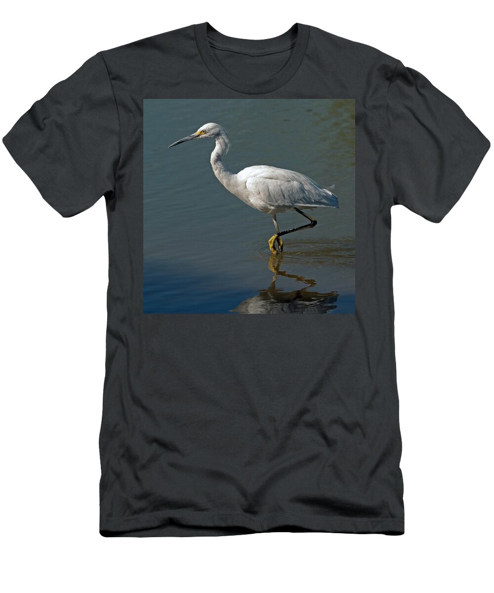 Snowy Egret T-Shirt featuring the photograph Snowy Egret #5 by Tam Ryan