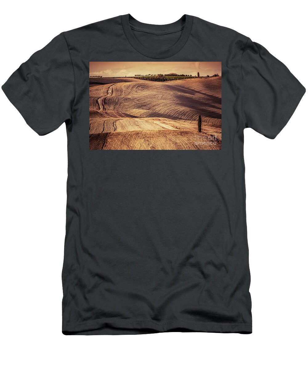 Field T-Shirt featuring the photograph Tuscany fields autumn landscape, Italy. Harvest season #5 by Michal Bednarek