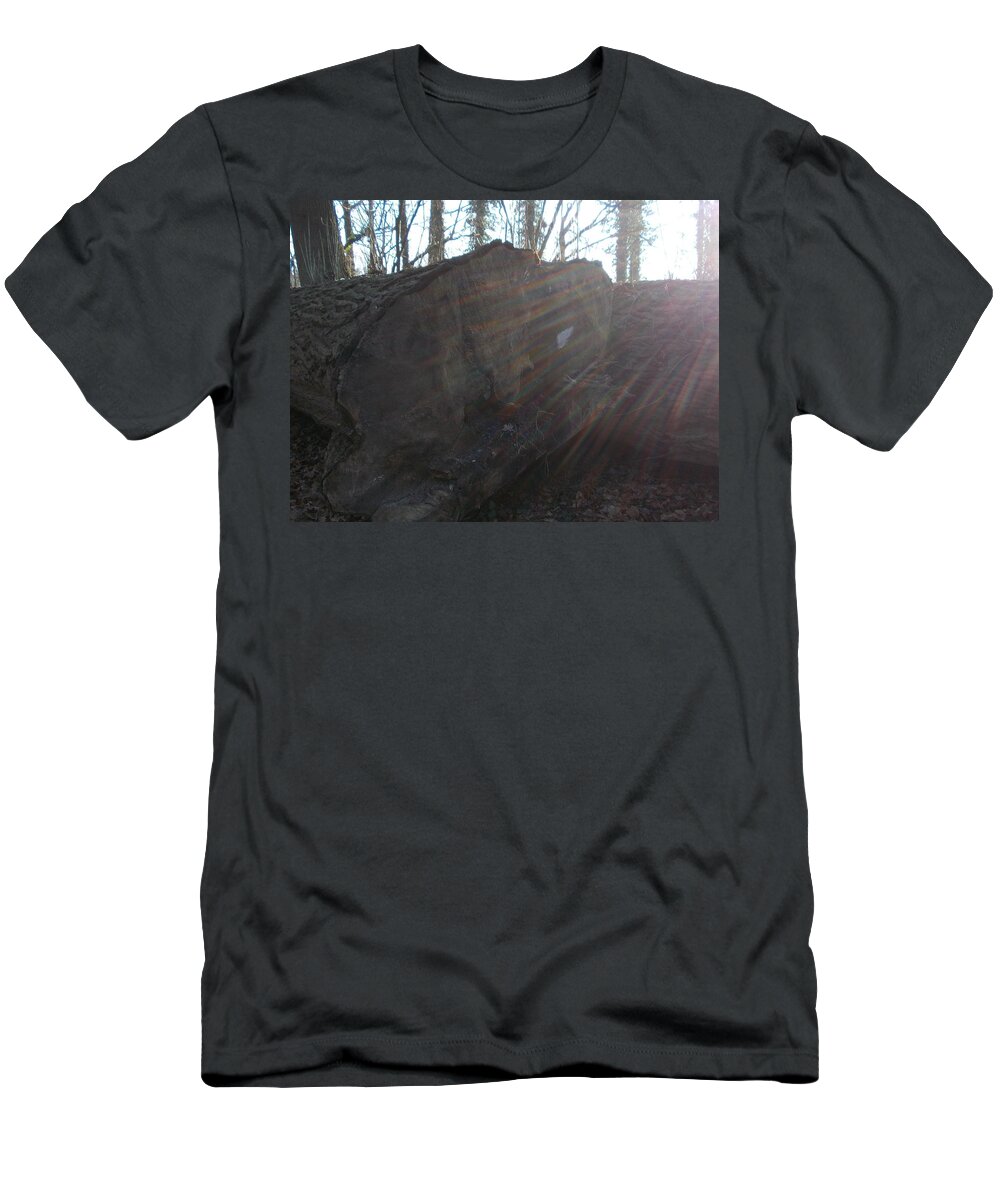 Tree T-Shirt featuring the photograph Tree #53 by Jackie Russo