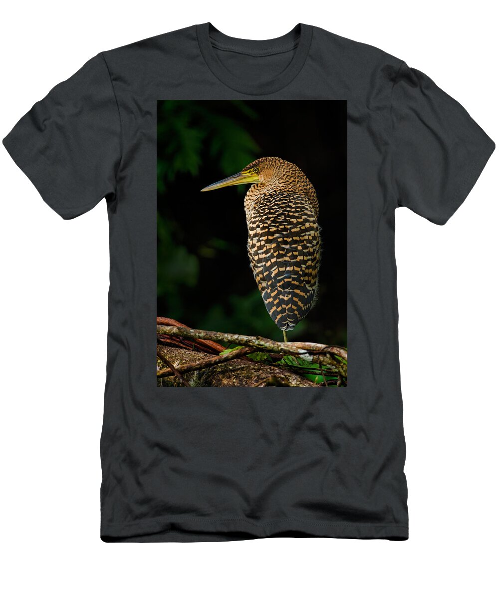 Photography T-Shirt featuring the photograph Bare-throated Tiger Heron Tigrisoma #6 by Panoramic Images