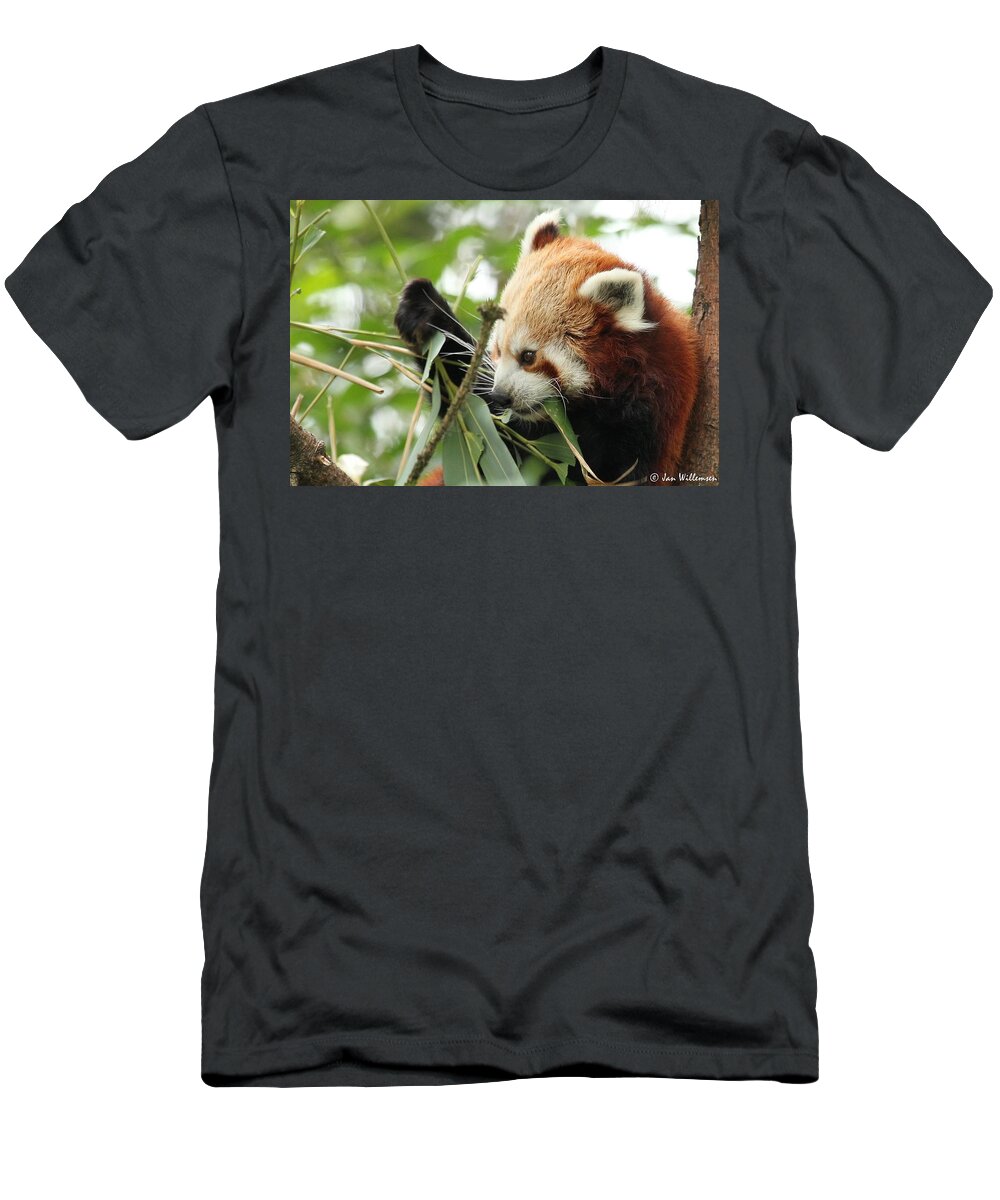 Red Panda T-Shirt featuring the photograph Red Panda #6 by Jackie Russo