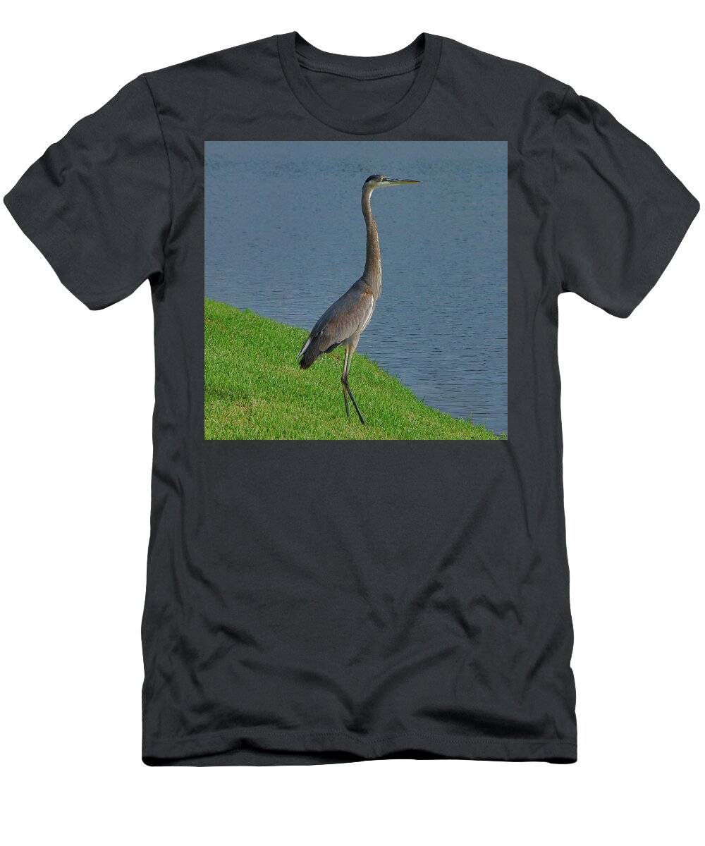 Great T-Shirt featuring the photograph 7- Great Blue Heron by Joseph Keane