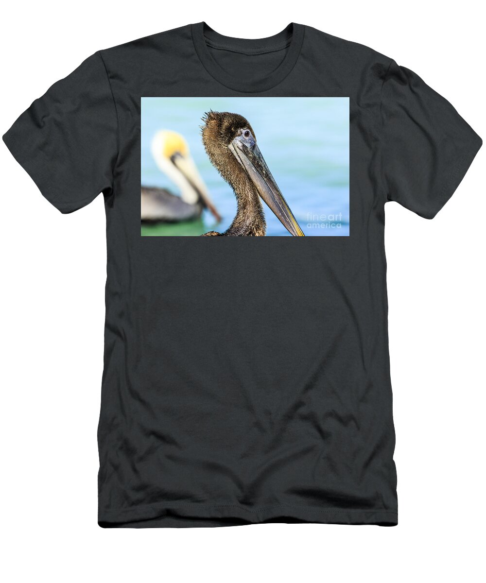 Brown Pelican T-Shirt featuring the photograph Brown Pelican #8 by Ben Graham