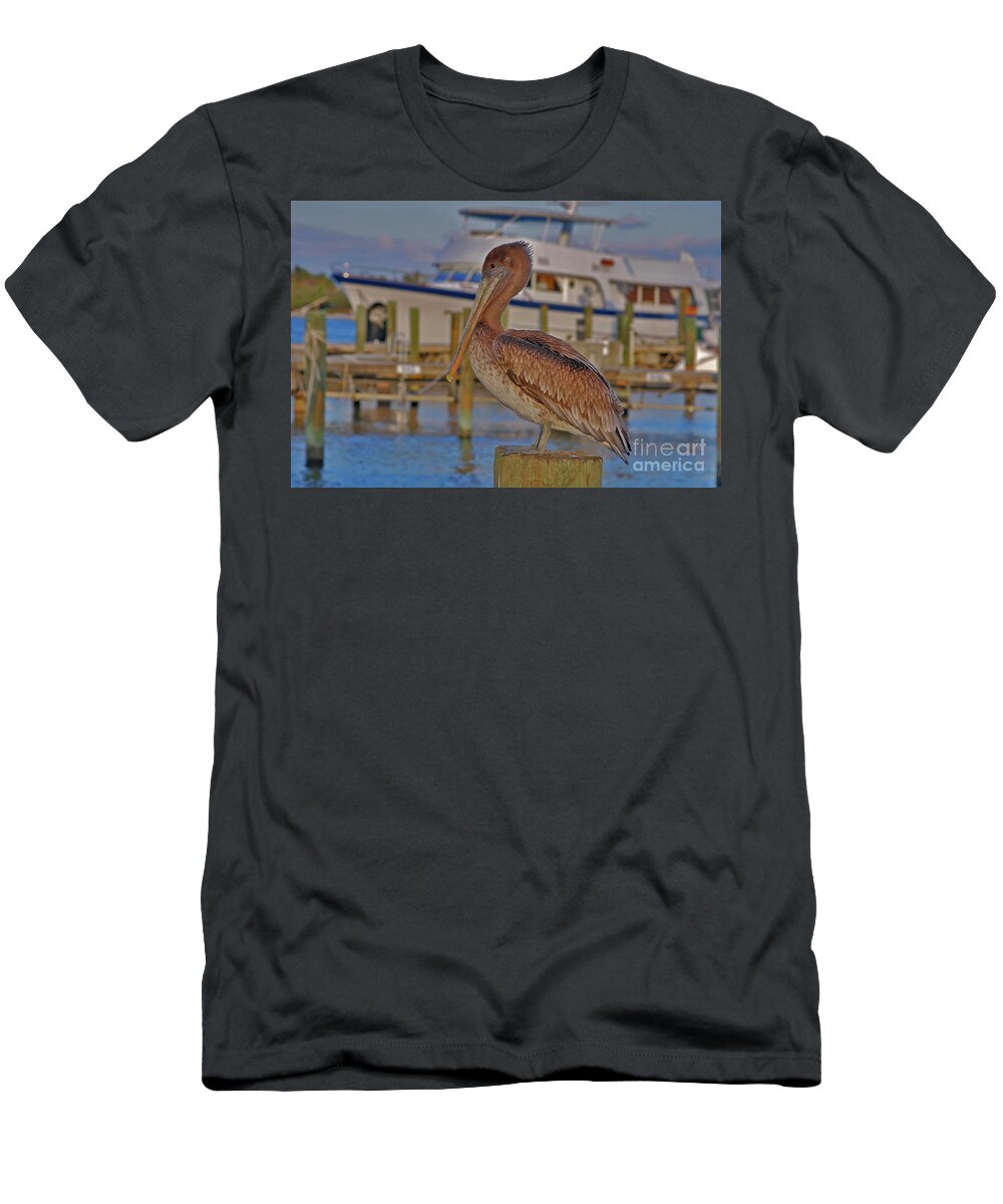Brown Pelican T-Shirt featuring the photograph 8- Brown Pelican by Joseph Keane