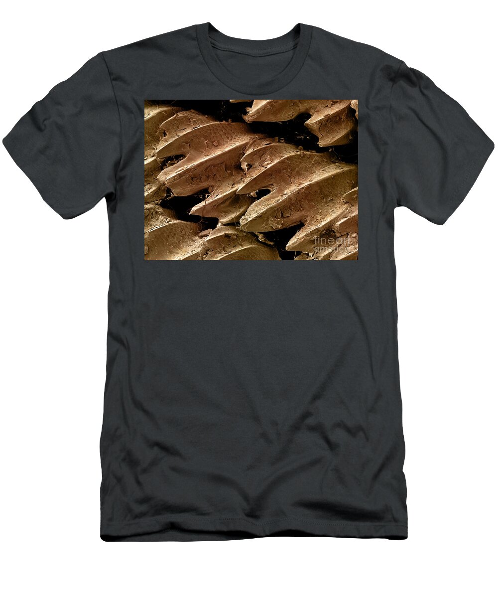 Skin T-Shirt featuring the photograph Great Hammerhead Shark Skin, Sem #8 by Ted Kinsman