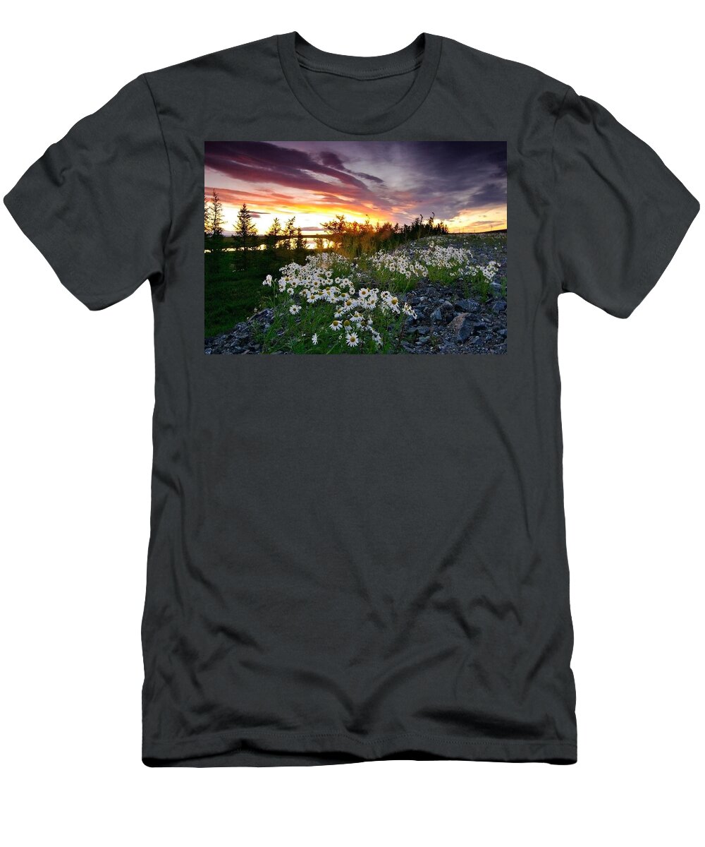 Landscape T-Shirt featuring the photograph Landscape #80 by Jackie Russo