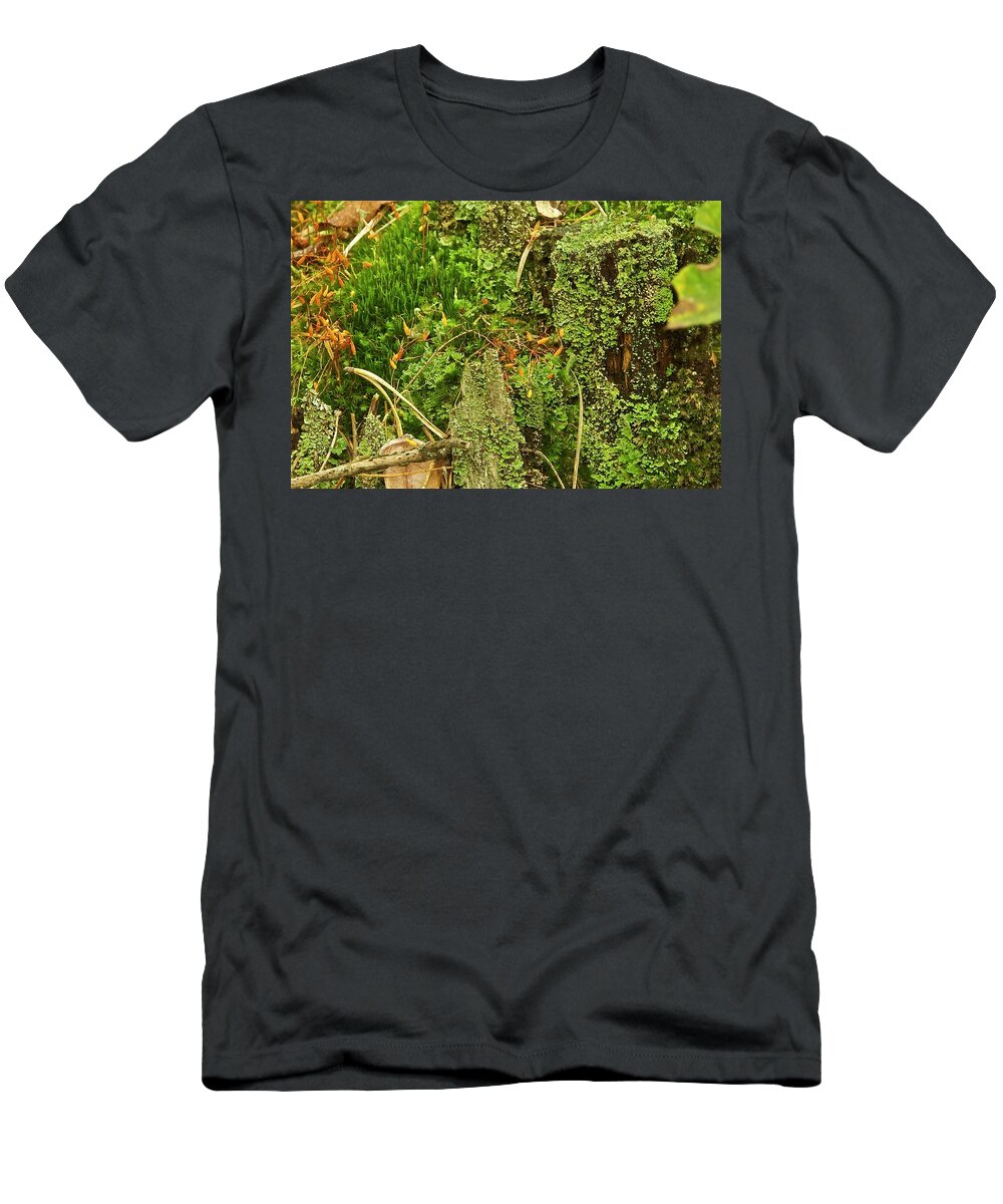 Moss T-Shirt featuring the photograph Mosses and Liverworts 8861 by Michael Peychich