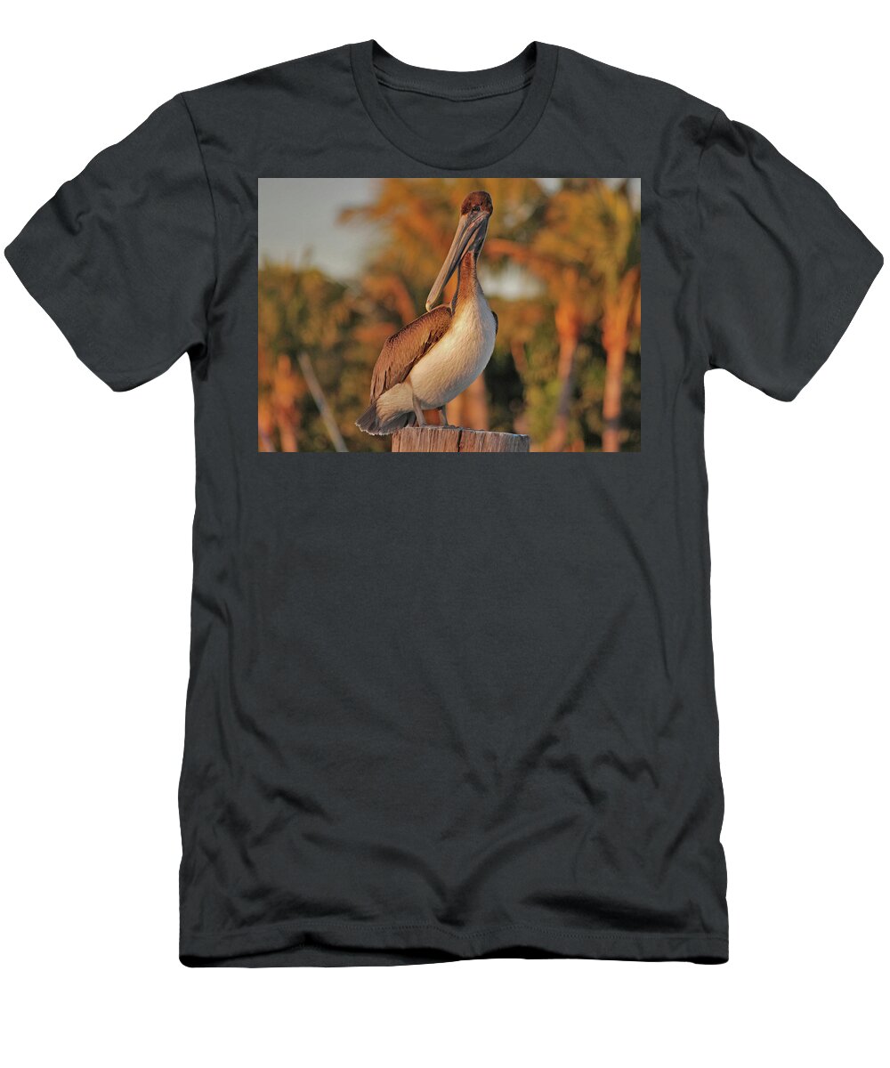  Pelican T-Shirt featuring the photograph 9- Brown Pelican by Joseph Keane