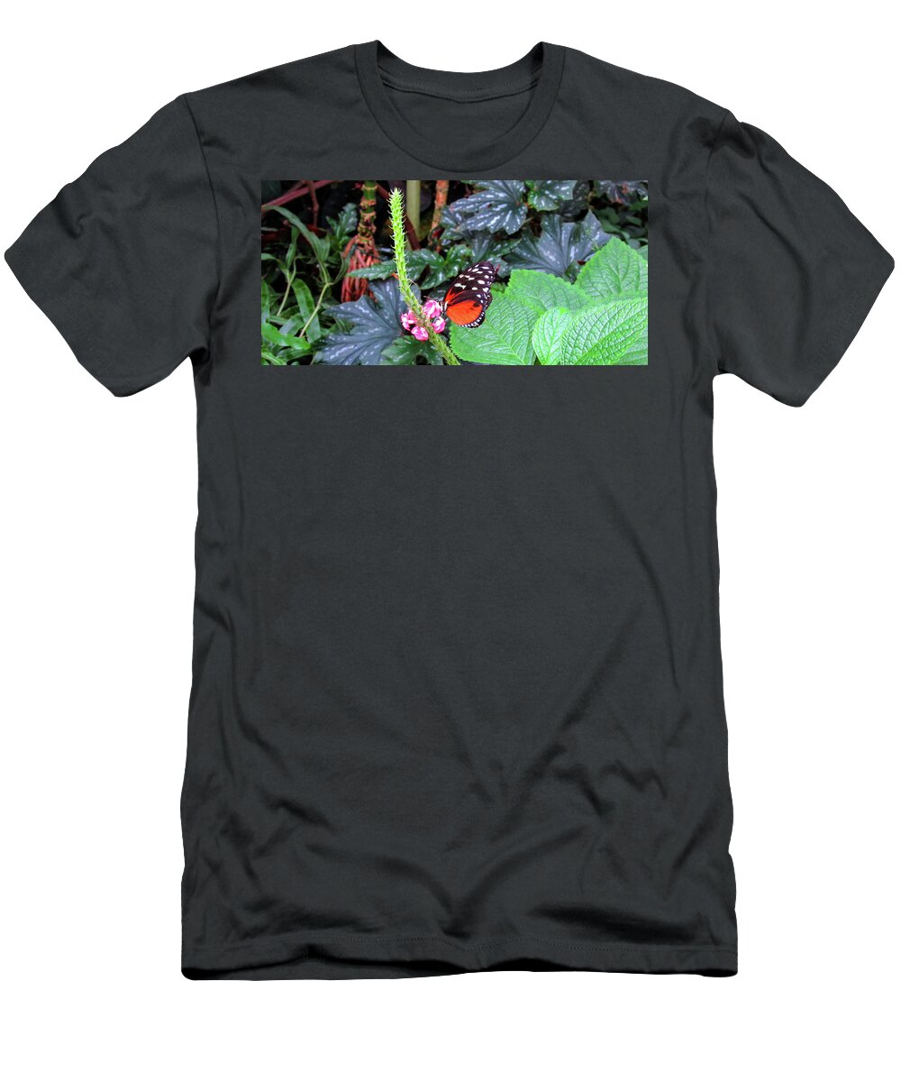 Mountain T-Shirt featuring the photograph Butterfly #9 by Cesar Vieira