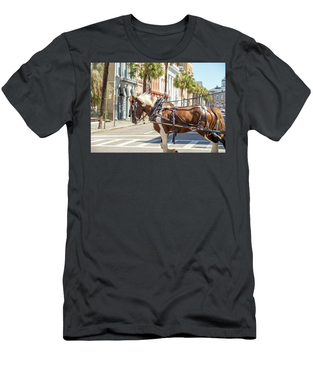 South T-Shirt featuring the photograph Historic Charleston South Carolina Downtown Scenery #9 by Alex Grichenko