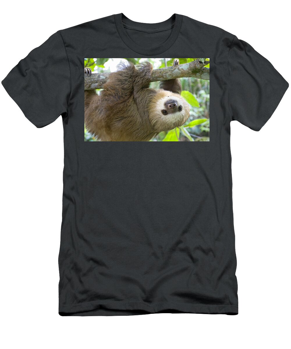 Mp T-Shirt featuring the photograph Hoffmanns Two-toed Sloth Choloepus #9 by Suzi Eszterhas