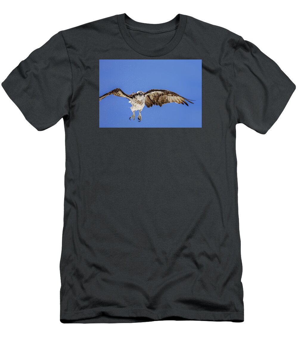 Naples T-Shirt featuring the photograph Osprey #9 by Peter Lakomy