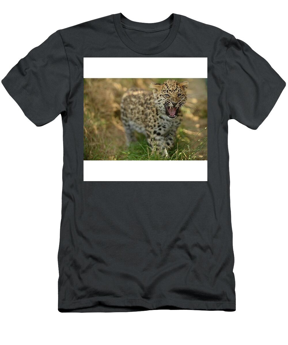 Summer T-Shirt featuring the photograph Tag Your Friends 👑👇
follow: #9 by Martin Brosowski