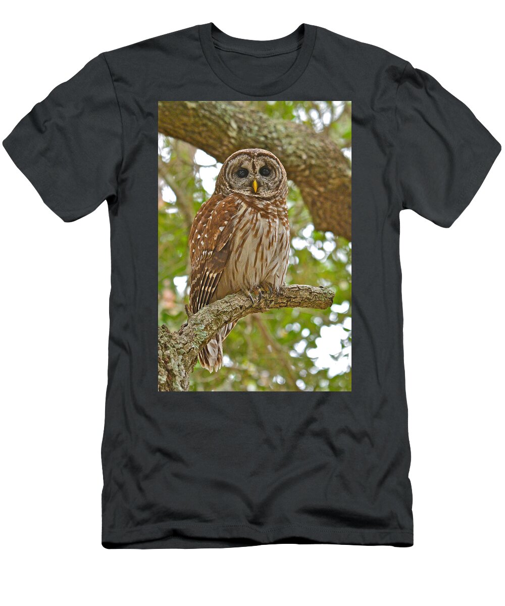 Barred Owl T-Shirt featuring the photograph A Barred Owl by Don Mercer