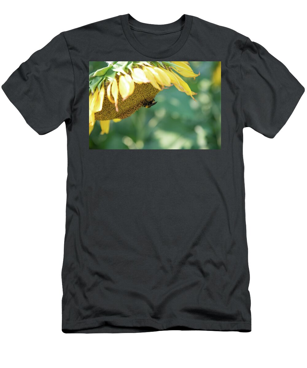 Field T-Shirt featuring the photograph A Bee in Pollen on a Big Sunflower by Anthony Doudt