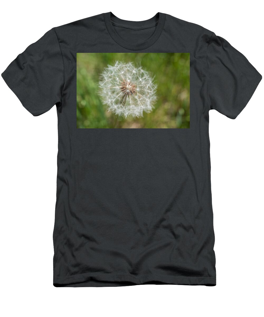 Terry D Photography T-Shirt featuring the photograph A Dandelion by Terry DeLuco