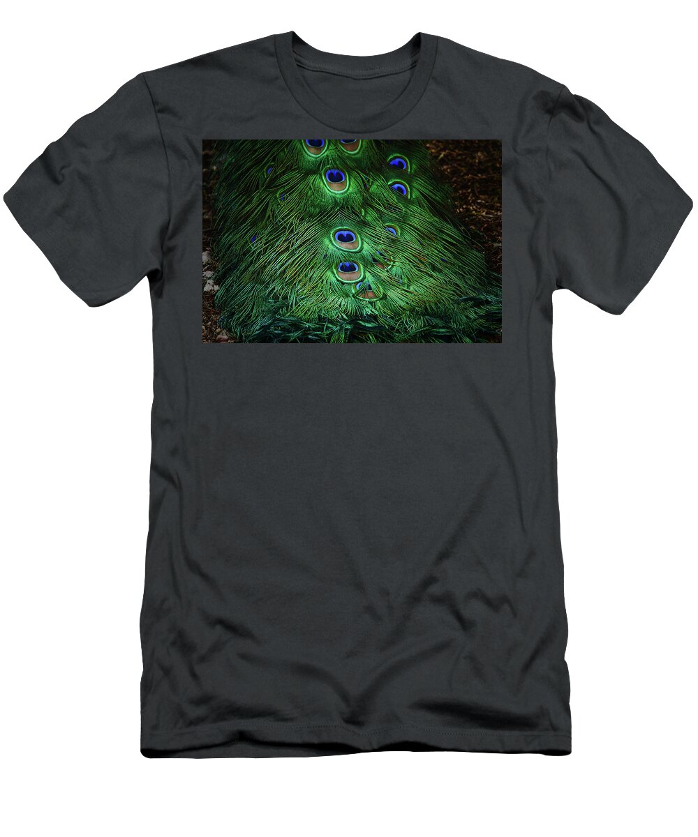 Peacocks T-Shirt featuring the photograph A Different Point Of View by Elaine Malott