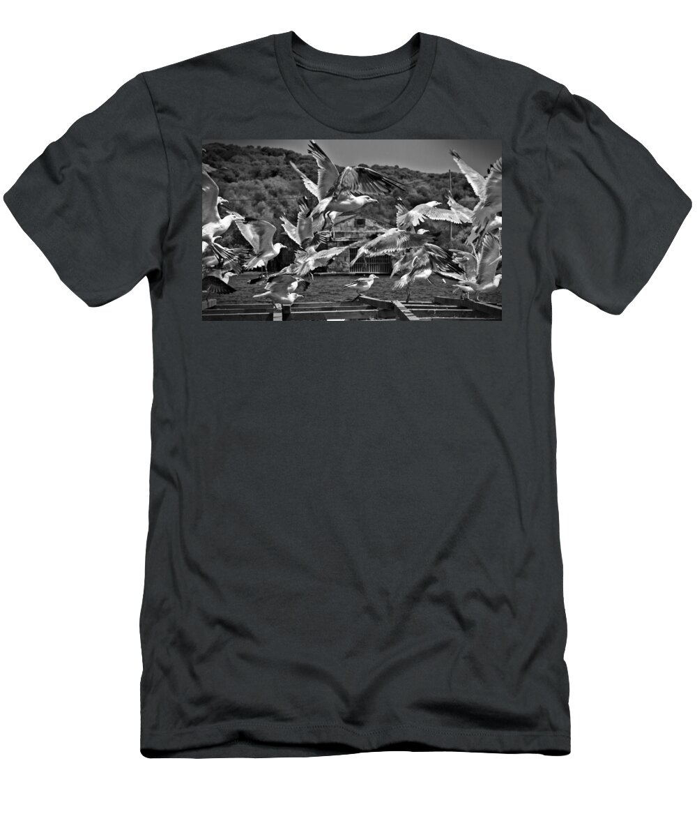 Outdoor T-Shirt featuring the photograph A flock of seagulls flying high to summer sky by Pedro Cardona Llambias